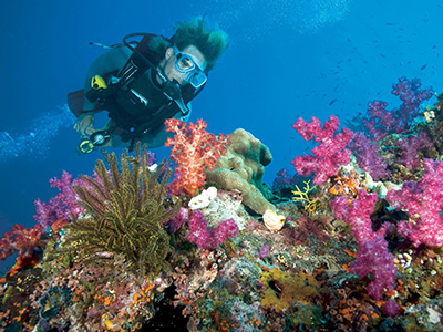 Great Barrier Reef Tour - Queensland